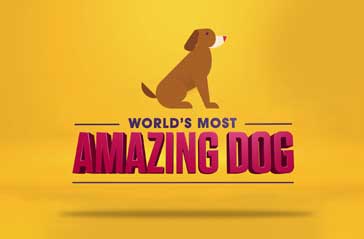 World's Most Amazing Dog
